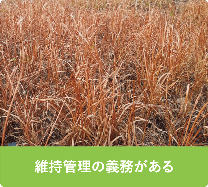 次の世代にまで問題を残してしまう